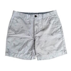 Amazon Essentials Mens Pineapple Print Chino Shorts Gray Size 34 Tropical Summer